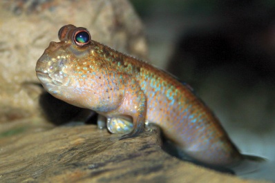 Your locksmith long beach being Holy